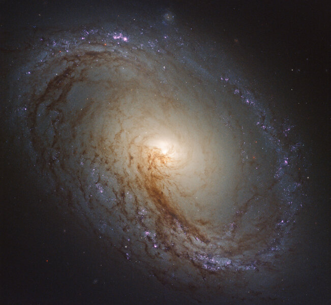 The nearby spiral galaxy M96, observed by Hubble Space Telescope. Credit: NASA, ESA, and the LEGUS team