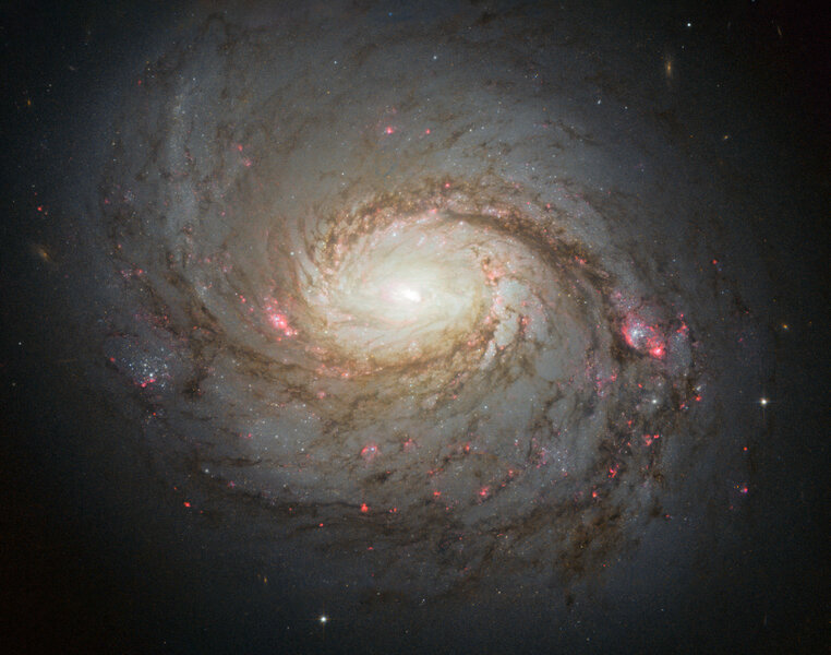 A Hubble image of the nearby spiral galaxy NGC 106, aka M77. Credit: NASA, ESA & A. van der Hoeven
