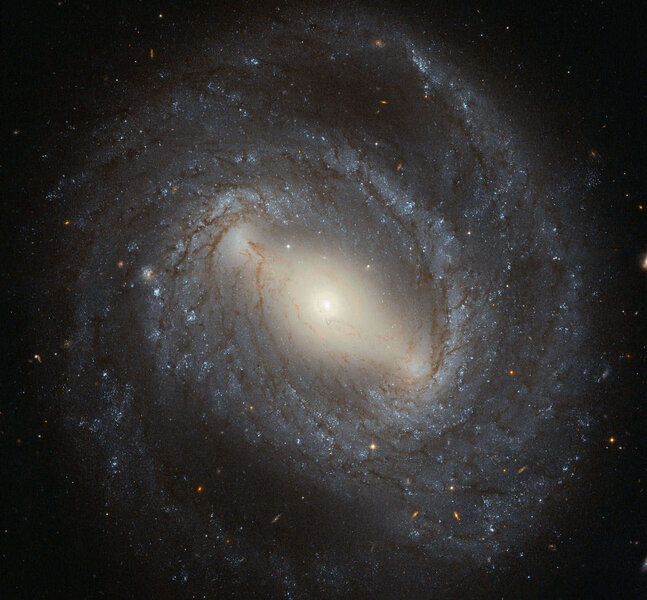 The spectacular barred spiral galaxy NGC 4394, seen by Hubble Space Telescope. Credit: ESA/Hubble & NASA, Acknowledgement: Judy Schmidt (Geckzilla)