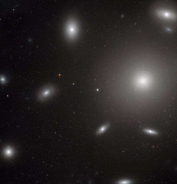 NGC 6874, a huge elliptical galaxy, surrounded by Coma Cluster galaxies, and tens of thousands of globular clusters. Credit: ESA/Hubble &amp; NASA