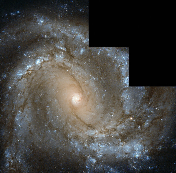 The central region of the spiral galaxy M61 seen by Hubble. Credit: ESA/Hubble & NASA. Acknowledgements: G. Chapdelaine, L. Limatola, and R. Gendler.
