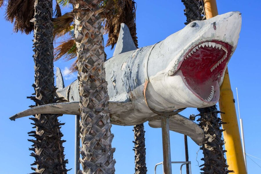 Last surviving mechanical Jaws shark joins Motion Picture Academy museum