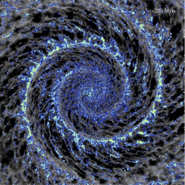 In this computer model of how spiral galaxies form, you can see dozens of filaments, or "bones", extending from the spiral arms.Credit: Dobbs et al.