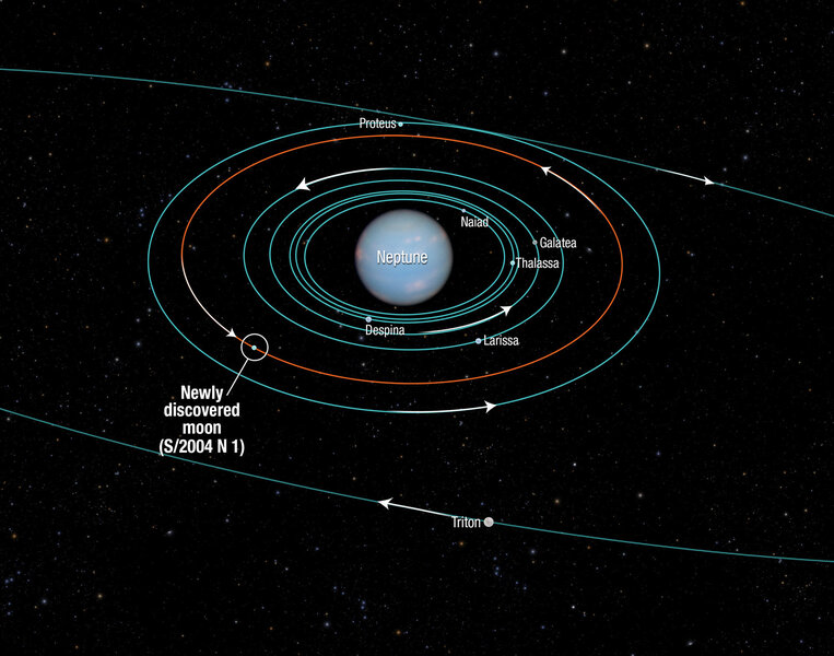 Orbit diagram of Neptune's moons, including the newly discovered 2004 N1. Credit:&nbsp;NASA,&nbsp;ESA, and A. Feild (STScI)