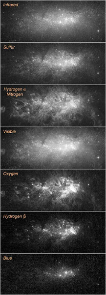 Using different filters, astronomers can isolate various components of the gas in galaxies (like hydrogen and oxygen), as well as stars and dust. Credit: NASA / ESA / P. Shopbell (Caltech) and A. Aloisi (STScI/ESA)