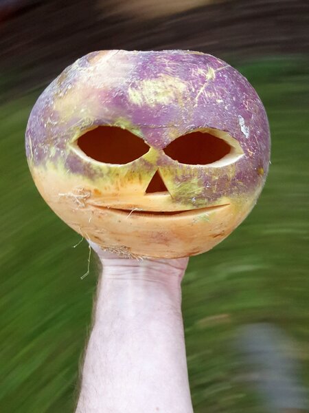 nightmare-turnip