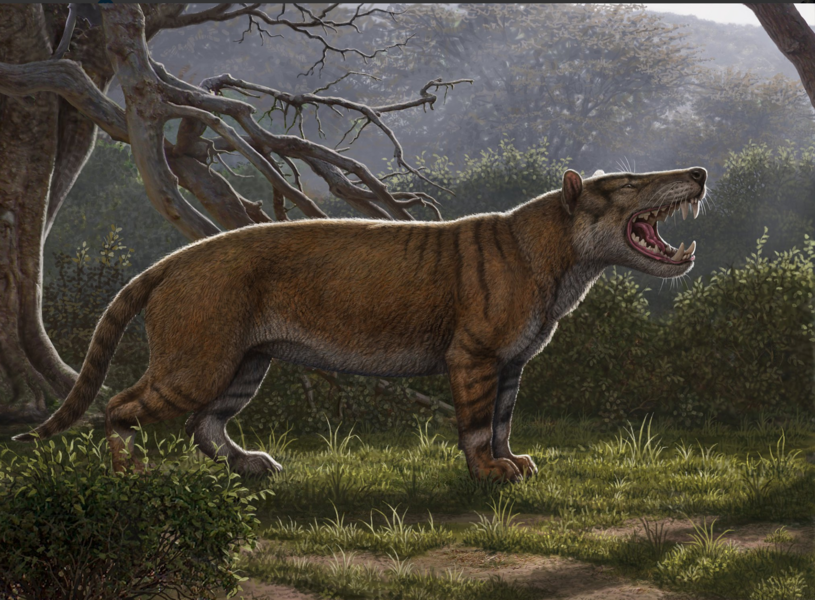 Paleo Lion Image