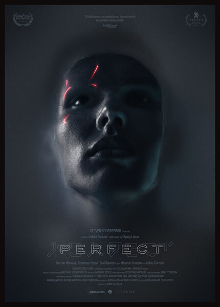 Perfect (Movie Poster)