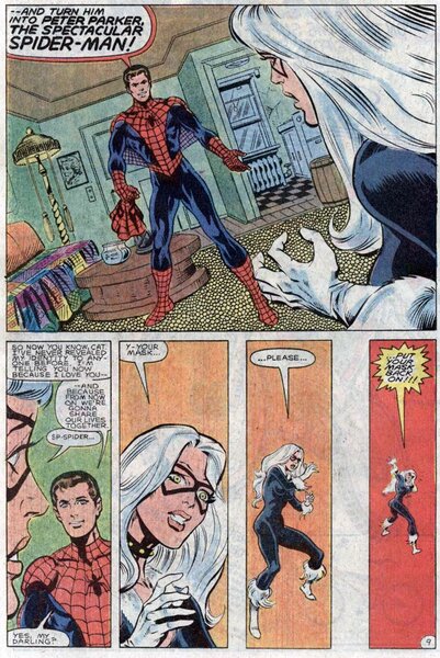 Peter Parker the Spectacular Spider-Man 87 Black Cat mask