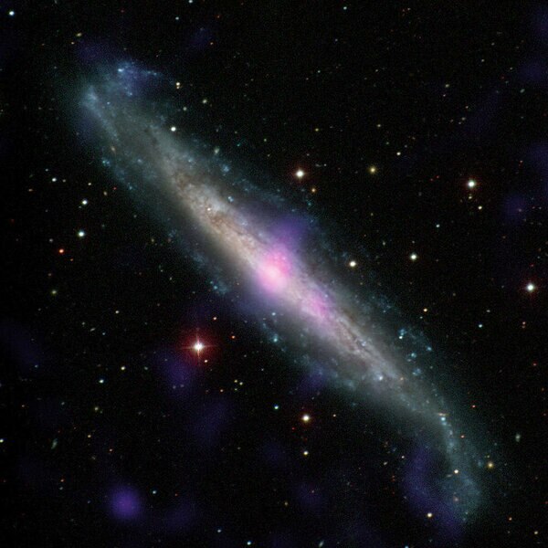 Liz Galaxy NGC 1448 