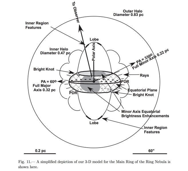 This is a schematic showing one of the models of how the Ring Nebula must really be shaped. What we think of as the ring itself is just a short, barrel-shaped structure in the middle of a larger cloud, and we're looking down the barrel. The caption made m