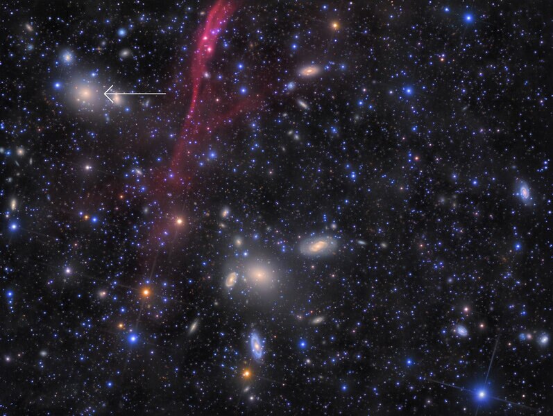 A very deep image of the Antlia Cluster reveals dozens of galaxies, including the elliptical NGC 3258 (arrowed). The red ribbon is gas from a nearby supernova, coincidentally superposed on the field. Credit: Rolf Olsen