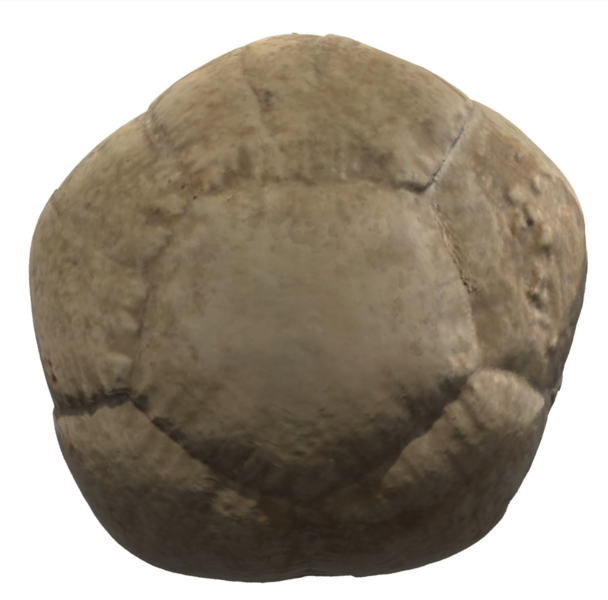 fossil of an extinct buckyball-shaped creature