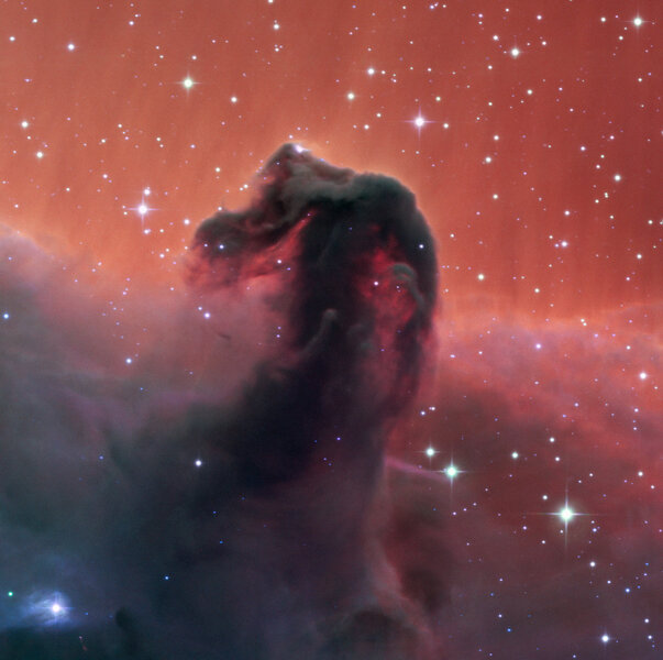 The Horsehead Nebula is named for obvious reasons; a thick clot of dust seen against glowing hydrogen gas. Credit: SPECULOOS Team/E. Jehin/ESO