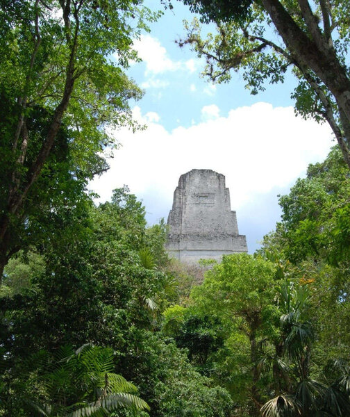 Mayan city of Tikal