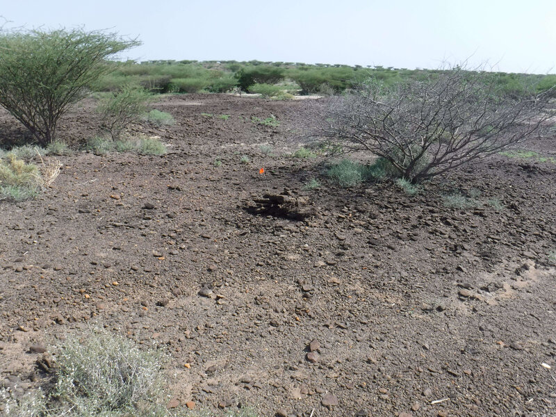 East Turkana archaeological site