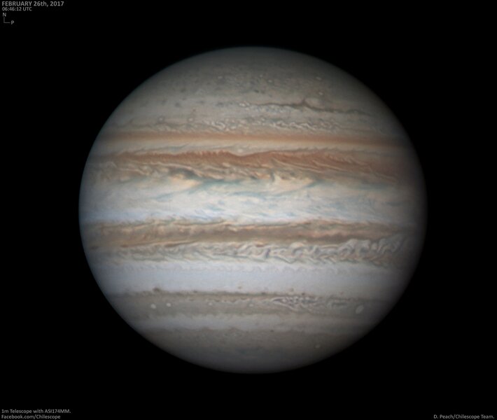 Jupiter imaged by Damian Peach