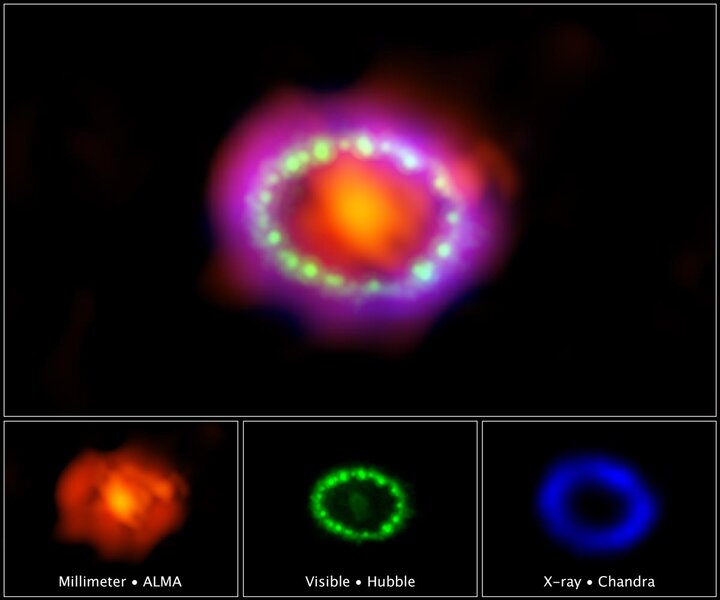 Supernova 1987A ring in visible, radio, and X-rays