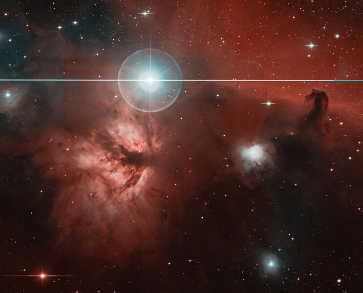 A close-up of the Zwicky Transient Facility image of Orion shows the Horsehead Nebula (right) and the Flame Nebula (left). Credit: Caltech Optical Observatories