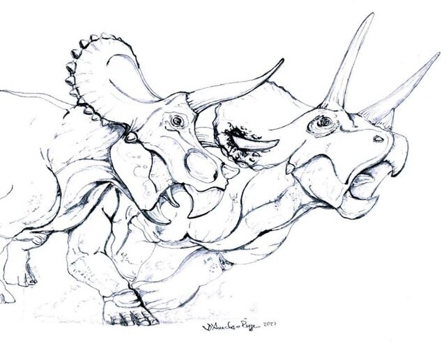Triceratops Injury Illustration