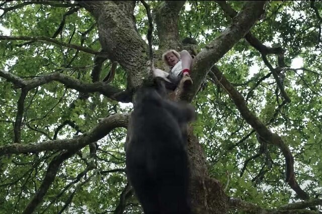 A still from the trailer for Cocaine Bear (2023)