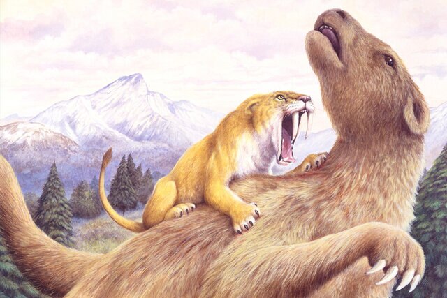 Illustration of Smilodon attacking Ground Sloth