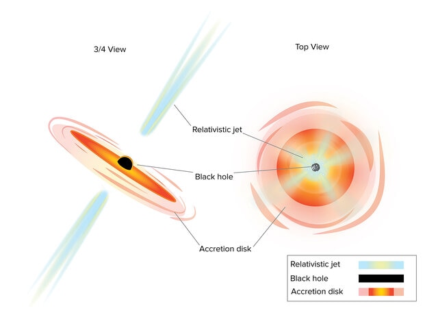 A schematic of an active galaxy, one where a central supermassive black hole is eating matter. Seen at an angle (left), we don’t observe high-energy light, but if it’s face-on (right), we do. Credit: Sophia Dagnello, NRAO/AUI/NSF