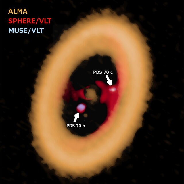 The ALMA (yellow) and VLT (red and blue) images of PDS 70 superposed show the locations of the two planets. Note the ALMA blob is offset from the infrared position of PDS 70b (below left of center). Credit: ALMA (ESO/NAOJ/NRAO) A. Isella; ESO