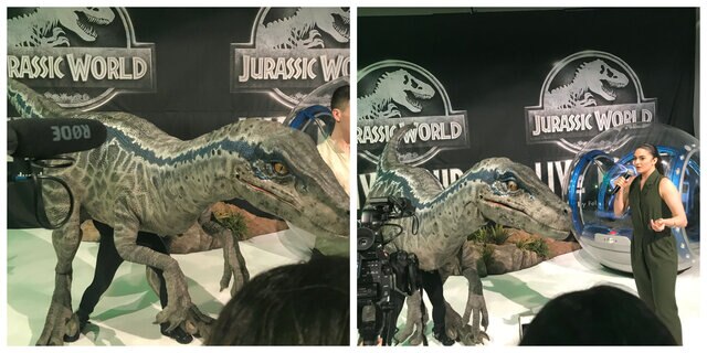 Blue at Jurassic World Live event