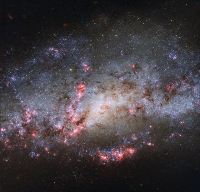 NGC 4490, a galaxy bursting with star formation after a recent close encounter with a smaller galaxy. Credit: ESA/Hubble & NASA Acknowledgements: D. Calzetti (UMass) and the LEGUS Team, J. Maund (University of Sheffield), and R. Chandar (University of Tol