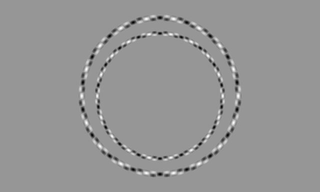These are two concentric circles. Seriously! 