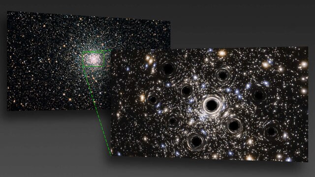 An image of the globular cluster NGC 6397 (left) with a zoom (right) showing artwork depicting black holes swarming in its core. Credit: ESA/Hubble, N. Bartmann