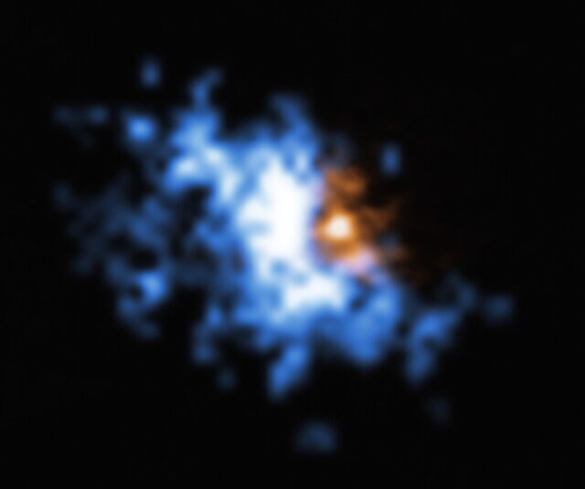 The gas halo (blue) seen around a quasar (orange) shows that vast amounts of material are available to quasars to make both lots of stars and supermassive black holes. Credit:  ESO/Farina et al.; ALMA (ESO/NAOJ/NRAO), Decarli et al.