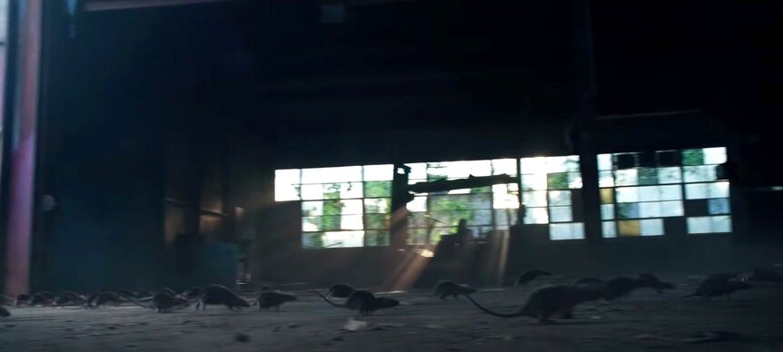 Rats in Stranger Things Season 3