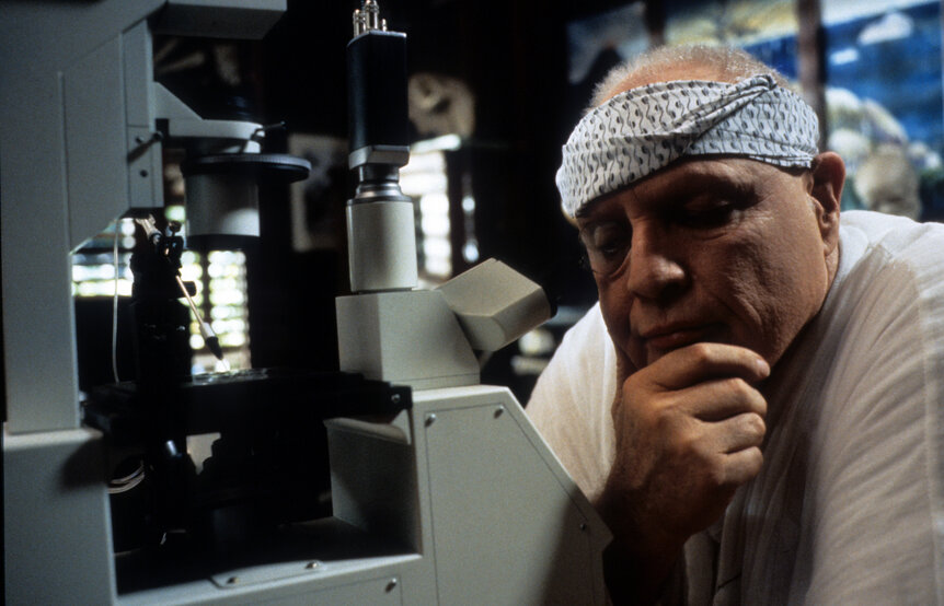 Marlon Brando The Island of Doctor Moreau