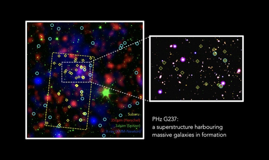protocluster PHz G237.01+42.50 and member galaxies