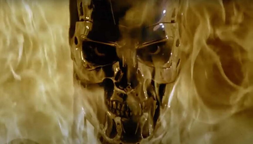 Terminator 2 Judgment Day (1991) YT