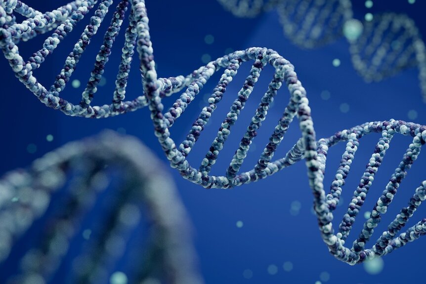 Digital rendering close-up of DNA helix with shallow depth of field and a blue background.