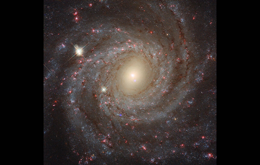 The galaxy NGC 3344
