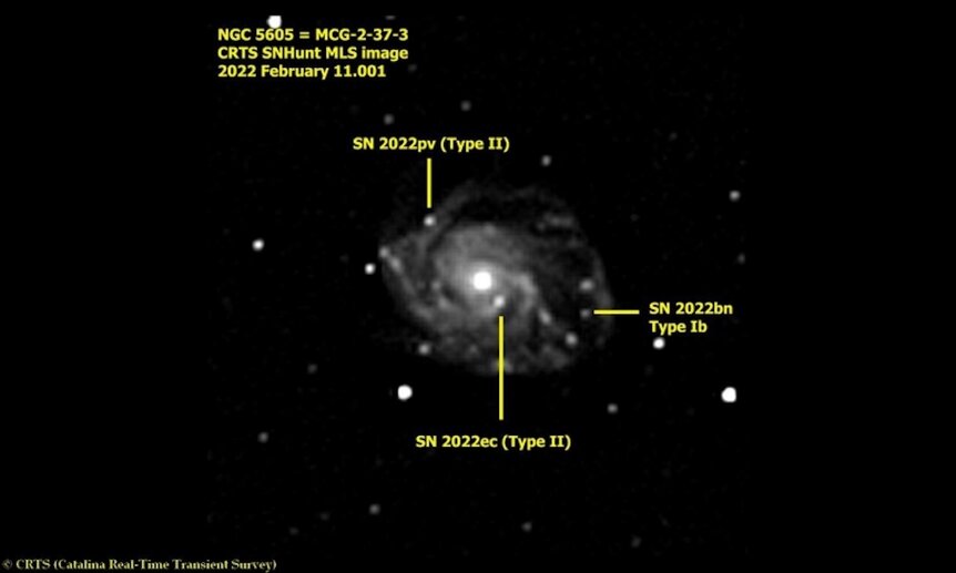 An image from the Catalina Real-time Transient Survey shows the galaxy NGC 5605 with three simultaneous supernovae in it, the first time this has ever been seen.