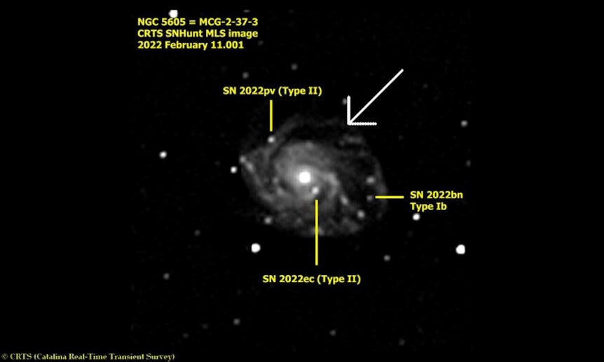 The galaxy NGC 5605 with three supernovae in it.