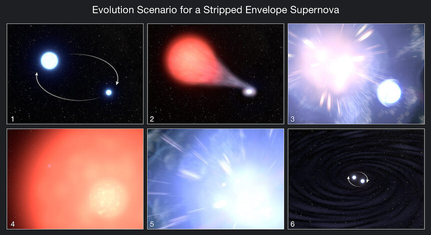 Evolution of a stripped supernova