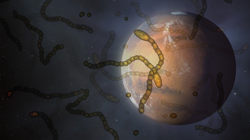 Alien microbes in space above Mars, conceptual illustration
