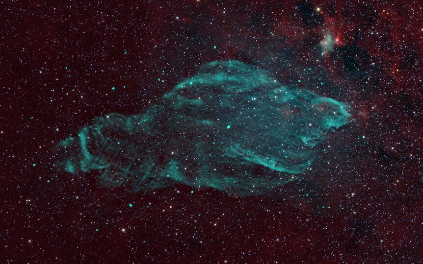 Westerhout 50, also called the Manatee Nebula