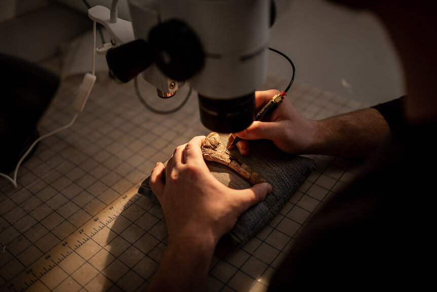 Christopher Griffin preparing a tibia of Mbiresaurus under a microscope