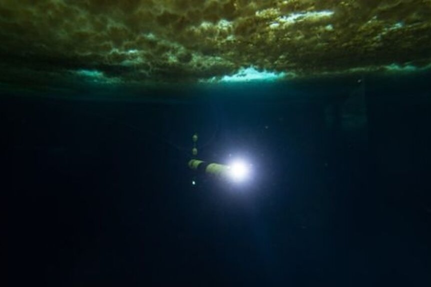 Icefin robot underwater