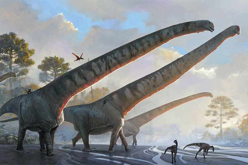 An illustration of the sauropod Mamenchisaurus sinocanadorum