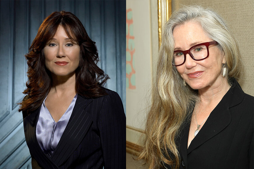 Mary McDonnell in Battlestar Galactica; Mary McDonnell in 2023