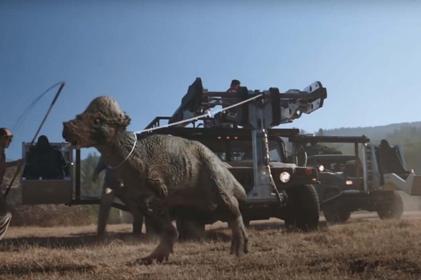 A Pachycephalosaurus is chained in the Jurassic Park film series.