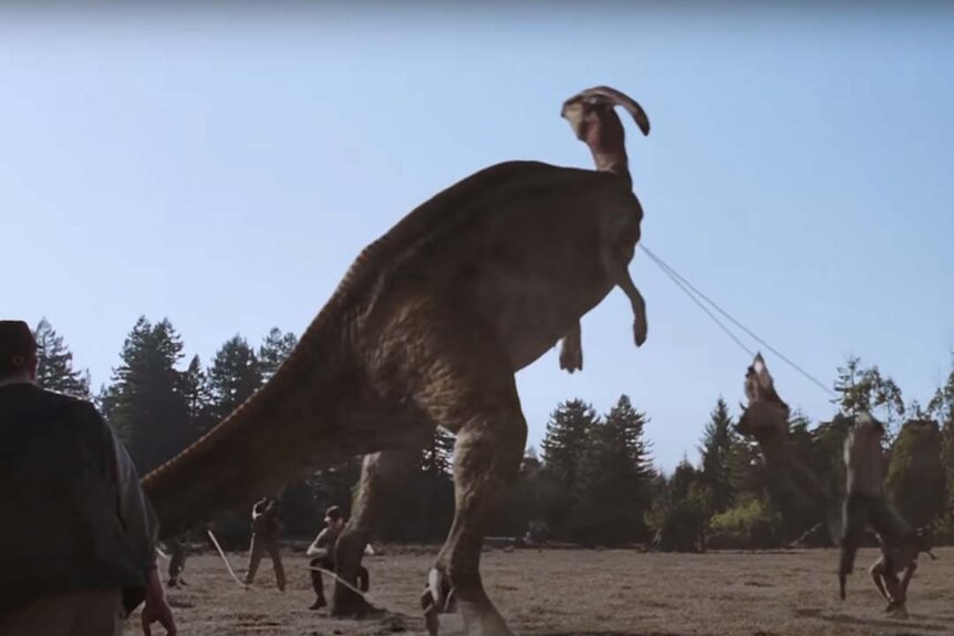 A Parasaurolophus is pulled by men with ropes in the Jurassic Park film series.